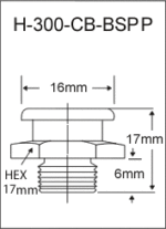 H-300-CB-BSPP  british thread grease fitting