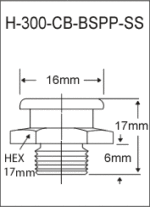 H-300-CB-BSPP-SS  british thread grease fitting