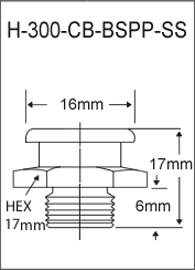 H-300-CB-BSPP-SS  british thread grease fitting