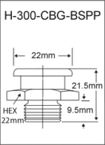 H-300-CBG-BSPP  british thread grease fitting