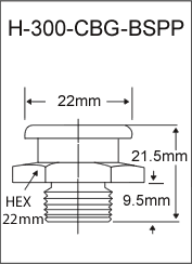 H-300-CBG-BSPP  british thread grease fitting