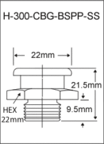 H-300-CBG-BSPP-SS  british thread grease fitting
