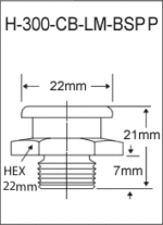 H-300-CB-LM-BSPP  british thread grease fitting