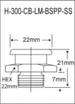 H-300-CB-LM-BSPP-SS  british thread grease fitting