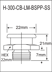 H-300-CB-LM-BSPP-SS  british thread grease fitting