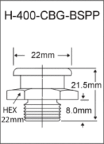 H-400-CBG-BSPP  british thread grease fitting