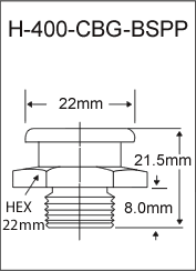 H-400-CBG-BSPP  british thread grease fitting