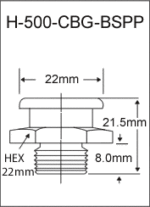 H-500-CBG-BSPP  british thread grease fitting