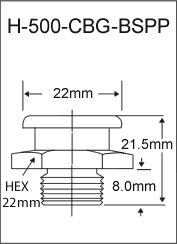 H-500-CBG-BSPP  british thread grease fitting